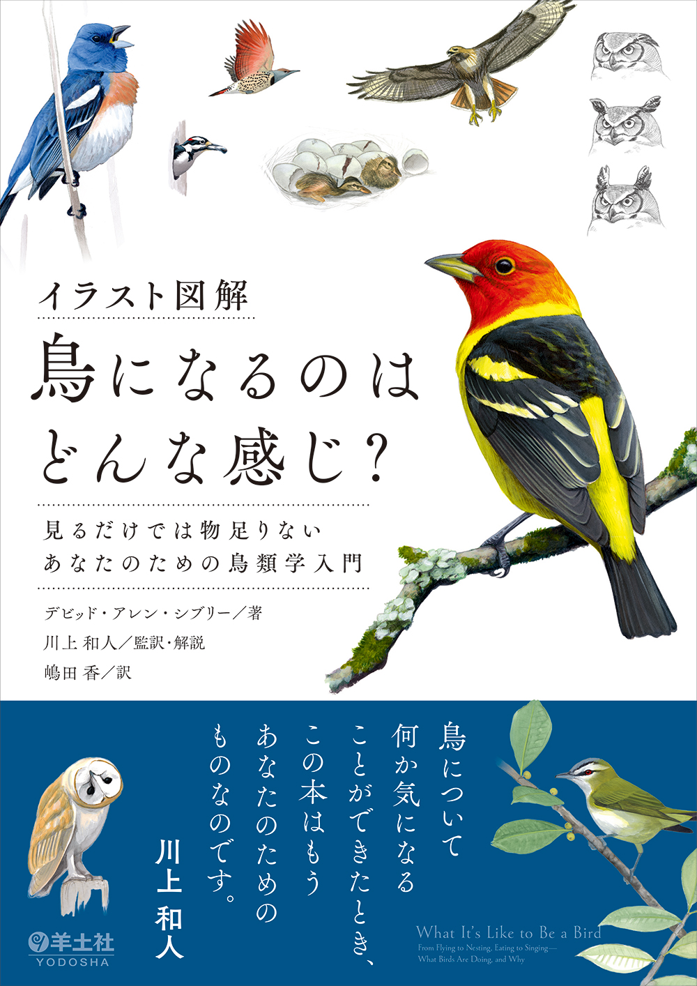 鳥になるのはどんな感じ 特設ページ 羊土社