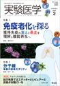 特集1：免疫老化を探る　獲得免疫の衰えと暴走を理解し機能再生へ／特集2：分子糊　革新の創薬モダリティ