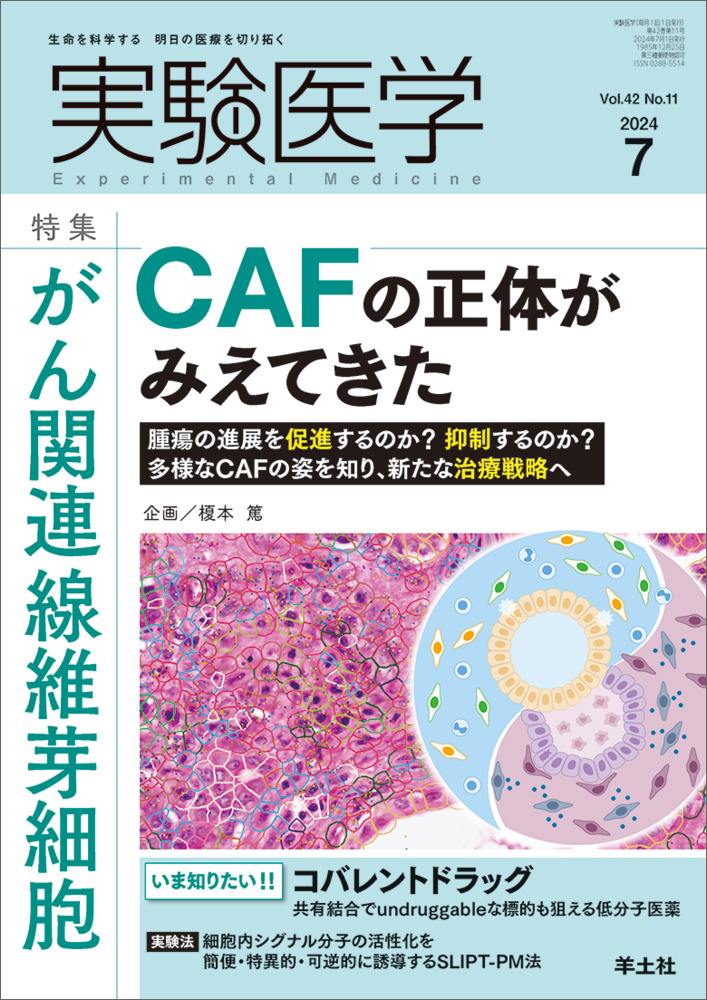 実験医学：がん関連線維芽細胞CAFの正体がみえてきた〜腫瘍の進展を促進するのか？抑制するのか？多様なCAFの姿を知り、新たな治療戦略へ