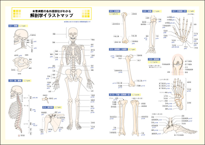 ビジュアル基本手技シリーズ：カラー写真でみる！ 骨折・脱臼・捻挫〜画像診断の進め方と整復・固定のコツ - 羊土社