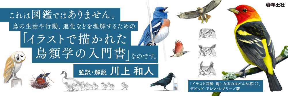 生命科学と医学の専門出版社 羊土社