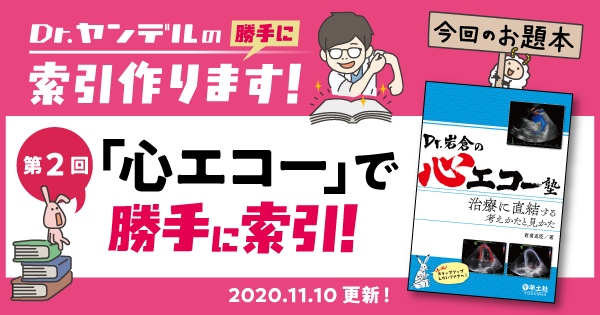 第2回「心エコーで勝手に索引！」｜Dr.ヤンデルの 勝手に索引作ります！：レジデントノート - 羊土社