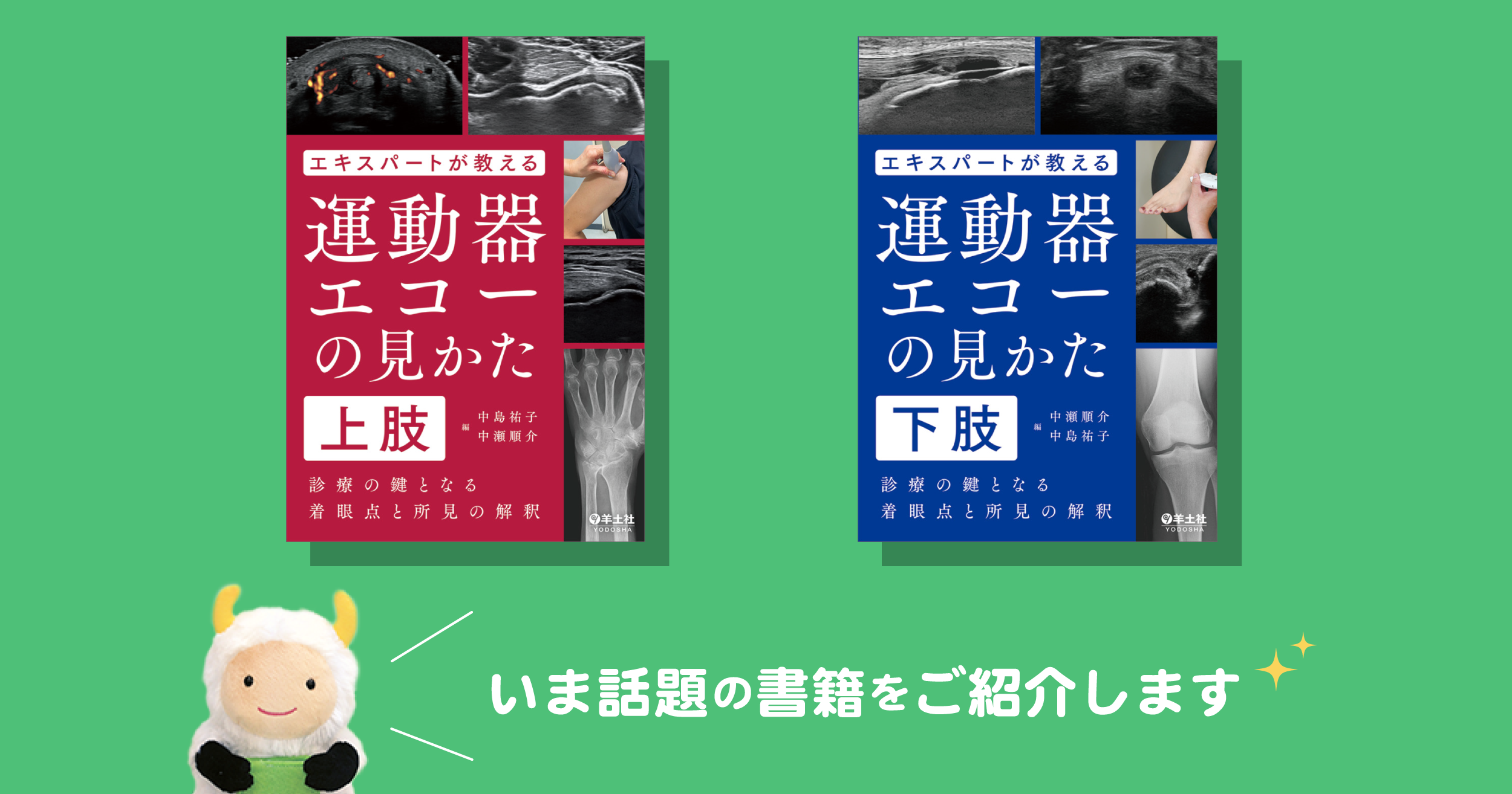 エコー診療はこれから！ 今、携わっている！ どちらの整形外科医にも