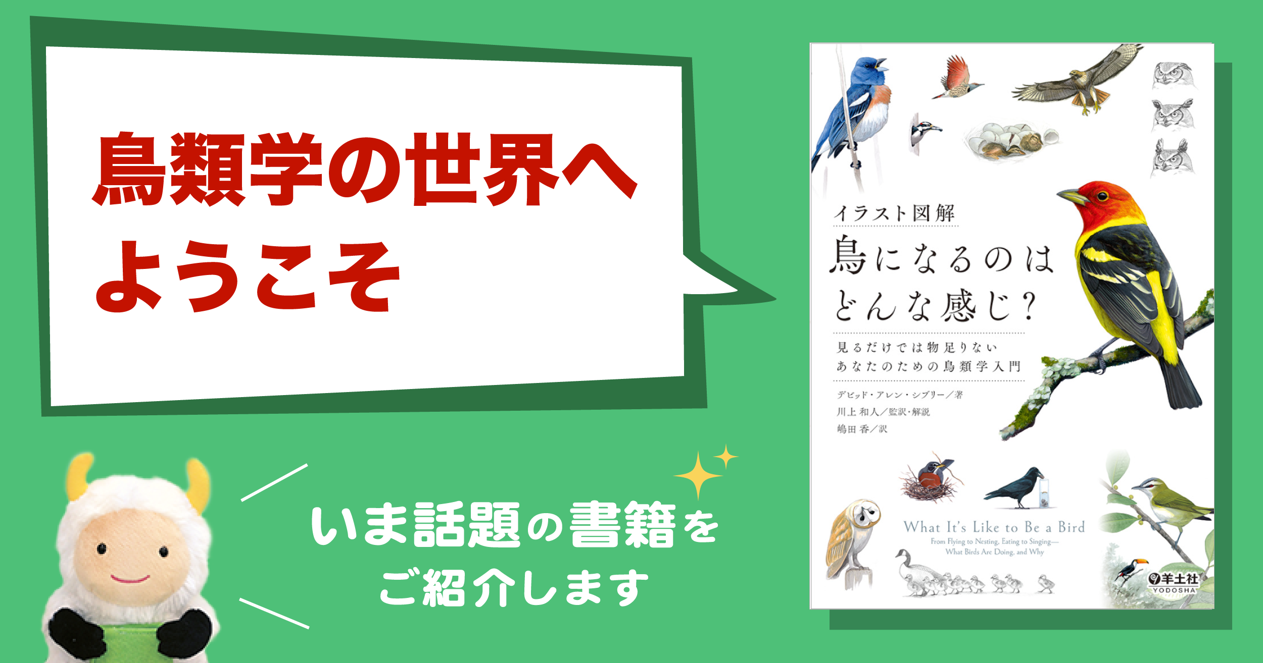 鳥の気持ちがわかる 鳥類学の入門書 イラスト図解 鳥になるのはどんな感じ 羊土社 羊土社