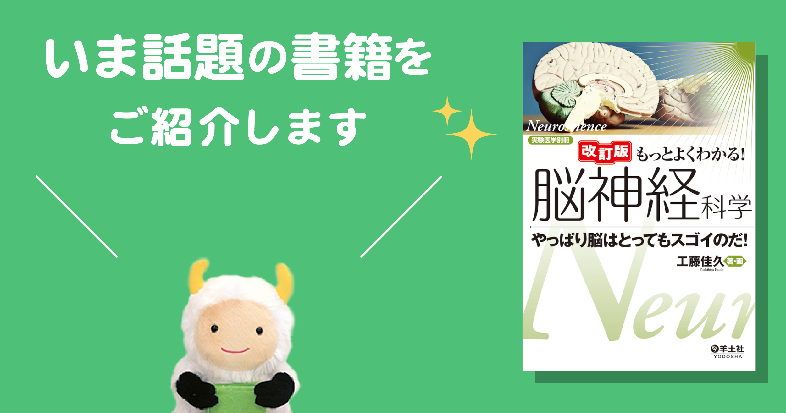 脳を学ぶ はじめの一冊！ロングセラー入門書が8年ぶりの大改訂 『改訂