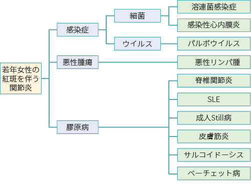 図3　診察後に作成したロジックツリー